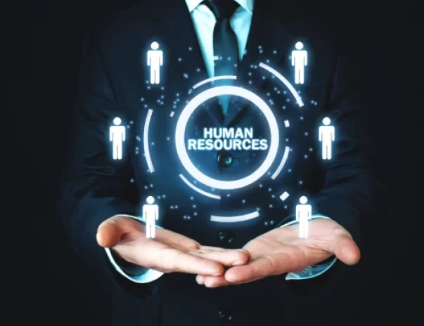 Human Resources Organization